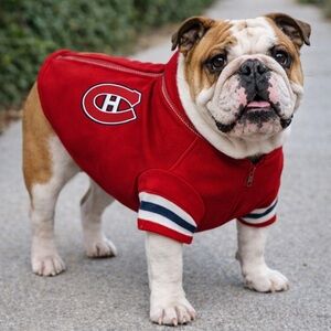 NHL Canadian Montreal Pet jersey with Striped Sleeves